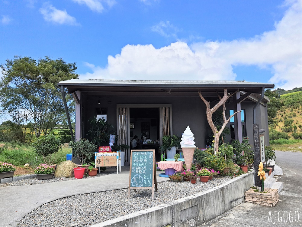 花蓮景點 花蓮六十石山金針花季 每年8~9月盛開 3座觀景台推薦 炸金針花好吃