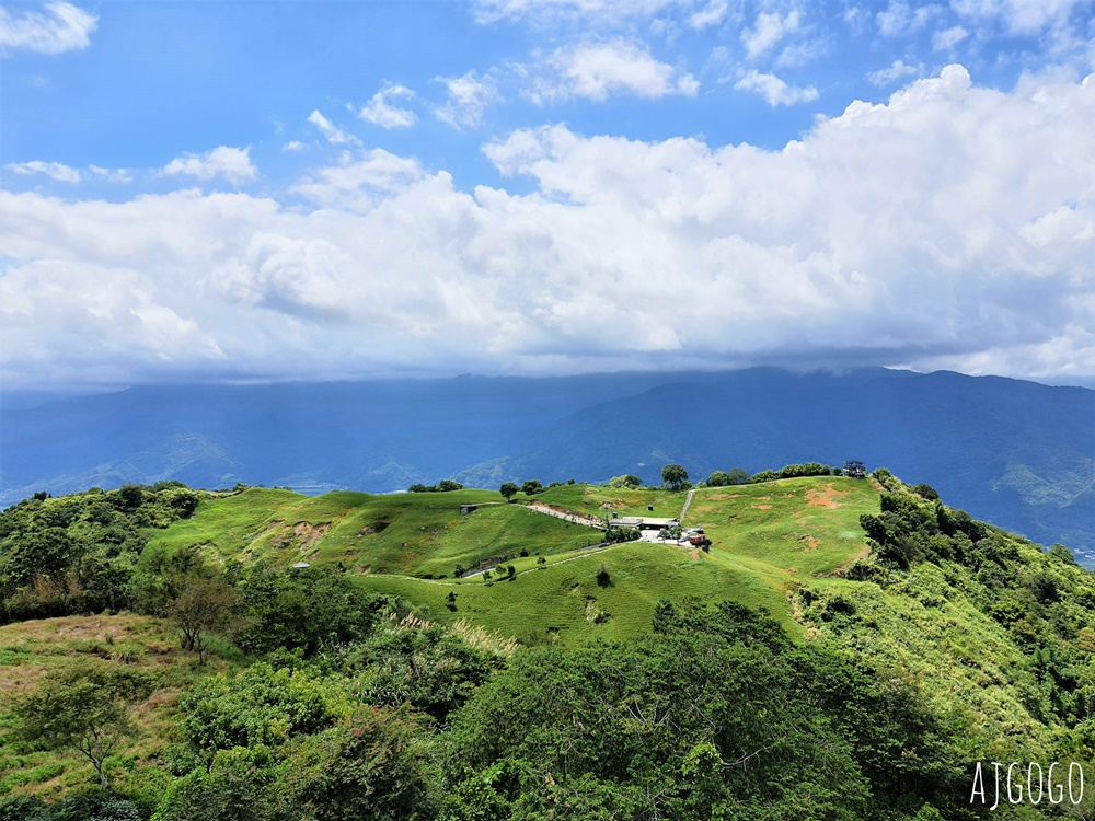 花蓮景點 花蓮六十石山金針花季 每年8~9月盛開 3座觀景台推薦 炸金針花好吃