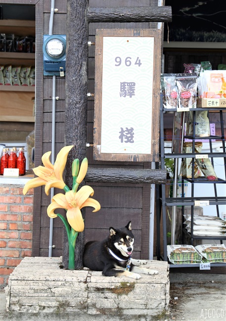 花蓮景點 花蓮六十石山金針花季 每年8~9月盛開 3座觀景台推薦 炸金針花好吃