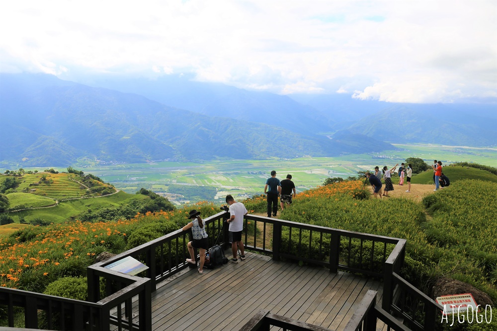 花蓮景點 花蓮六十石山金針花季 每年8~9月盛開 3座觀景台推薦 炸金針花好吃