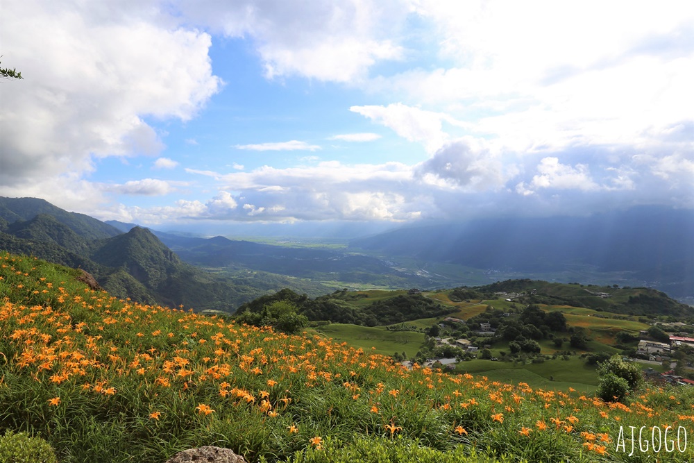花蓮景點 花蓮六十石山金針花季 每年8~9月盛開 3座觀景台推薦 炸金針花好吃