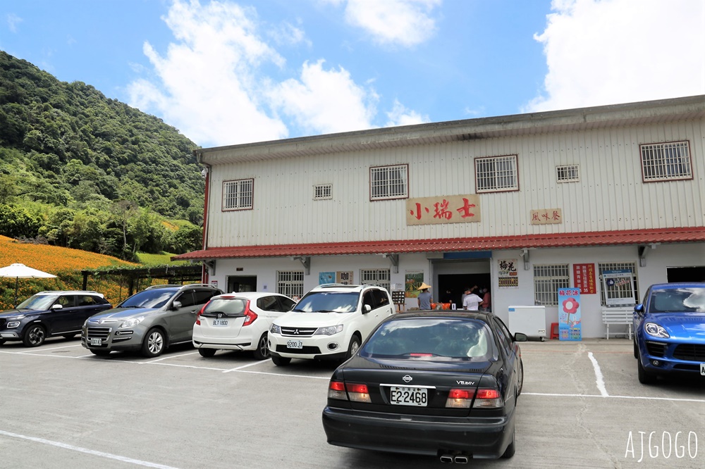 花蓮景點 花蓮赤科山金針花地毯 好像北海道 花蓮金針花季