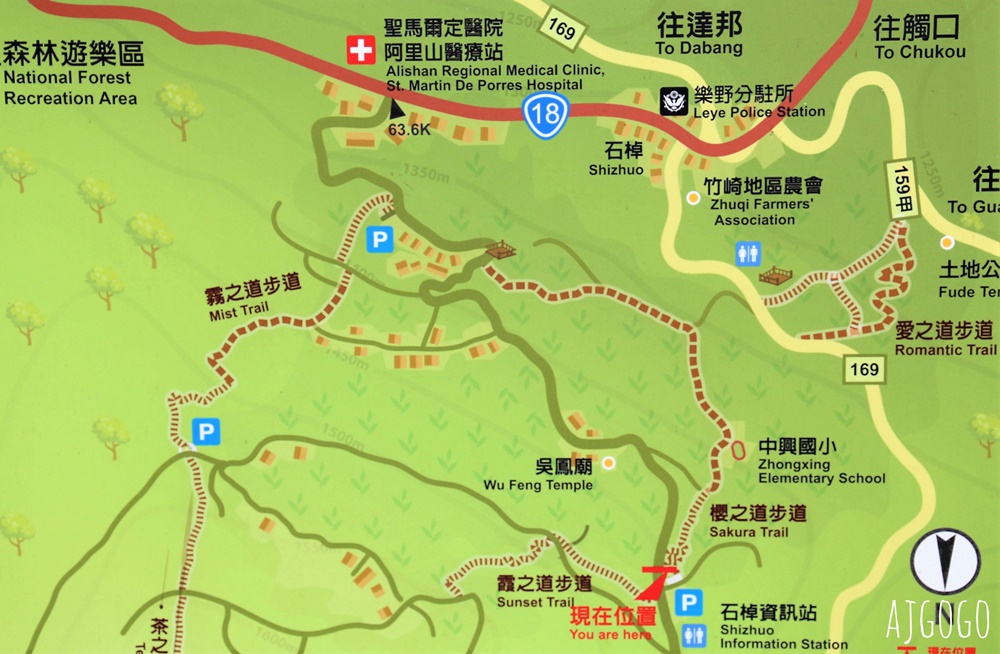 阿里山景點 茶之道、櫻之道、霞之道 走進雲霧裡的登山步道 阿里山一日遊