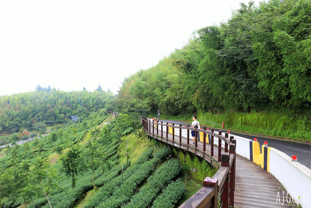 阿里山景點 茶之道、櫻之道、霞之道 走進雲霧裡的登山步道 阿里山一日遊