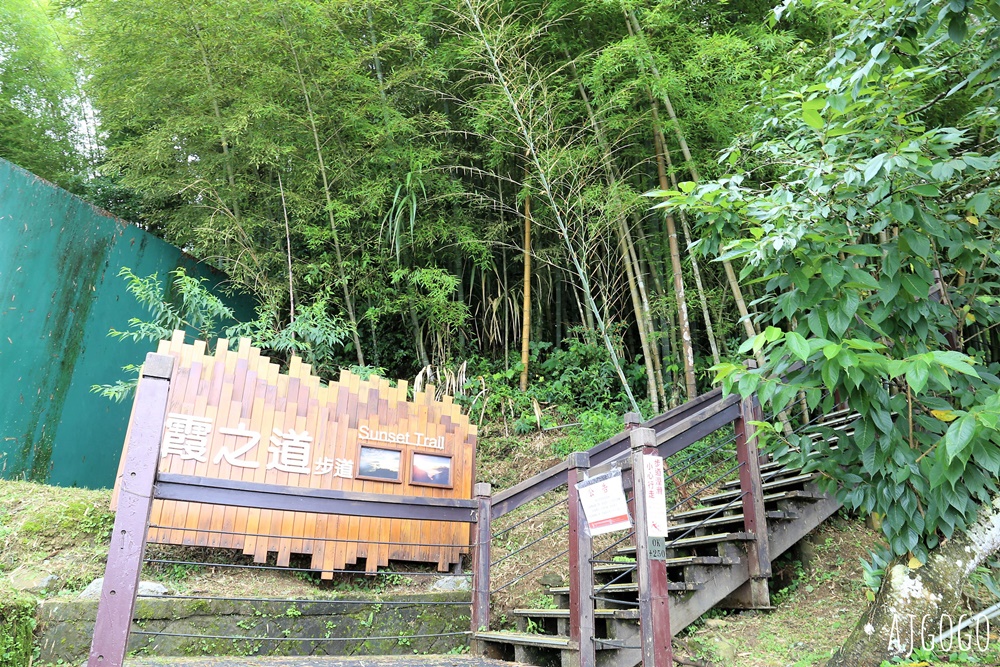 阿里山景點 茶之道、櫻之道、霞之道 走進雲霧裡的登山步道 阿里山一日遊