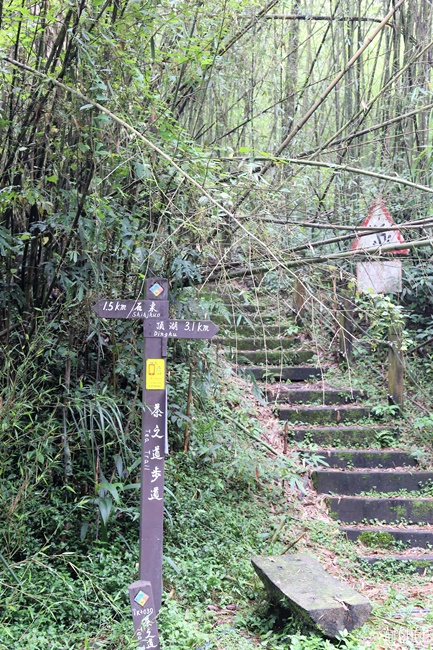 阿里山景點 茶之道、櫻之道、霞之道 走進雲霧裡的登山步道 阿里山一日遊