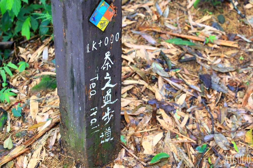 阿里山景點 茶之道、櫻之道、霞之道 走進雲霧裡的登山步道 阿里山一日遊