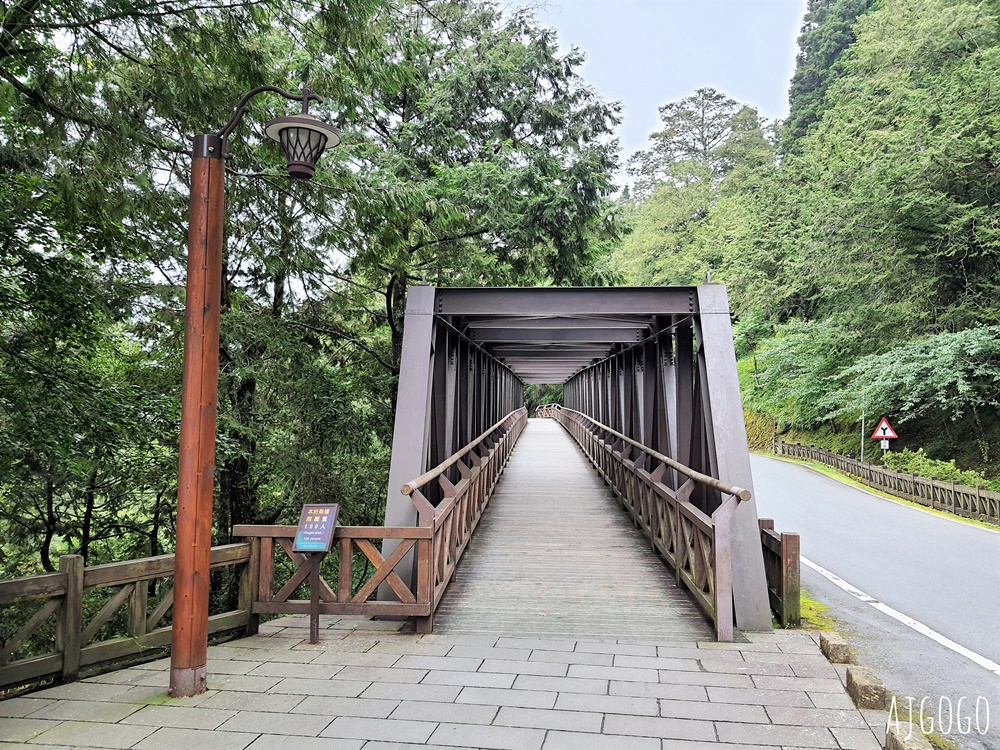 2026阿里山森林遊樂區 兩天一夜走緩慢走山林 吸飽芬多精 阿里山一日遊也可以