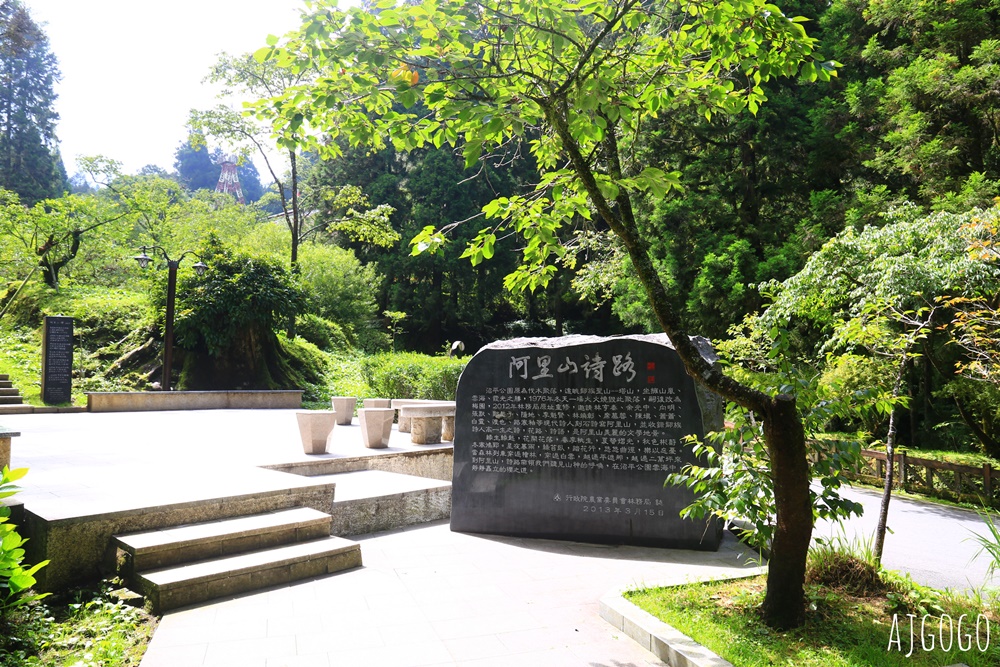 2026阿里山森林遊樂區 兩天一夜走緩慢走山林 吸飽芬多精 阿里山一日遊也可以
