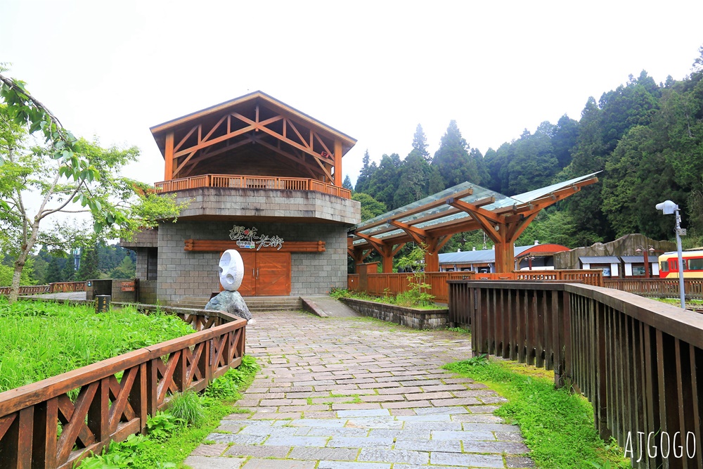 2026阿里山森林遊樂區 兩天一夜走緩慢走山林 吸飽芬多精 阿里山一日遊也可以