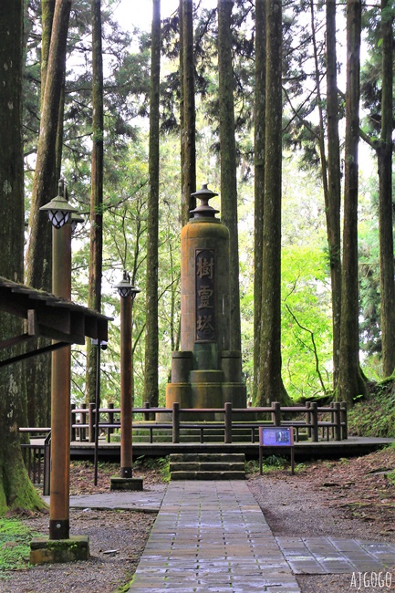 2026阿里山森林遊樂區 兩天一夜走緩慢走山林 吸飽芬多精 阿里山一日遊也可以