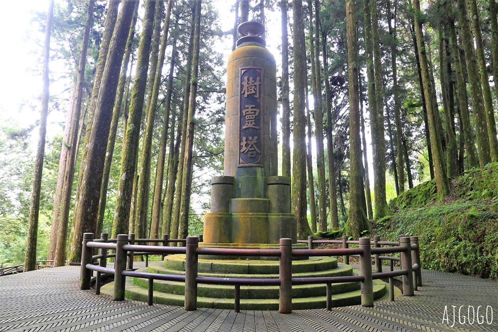 2026阿里山森林遊樂區 兩天一夜走緩慢走山林 吸飽芬多精 阿里山一日遊也可以