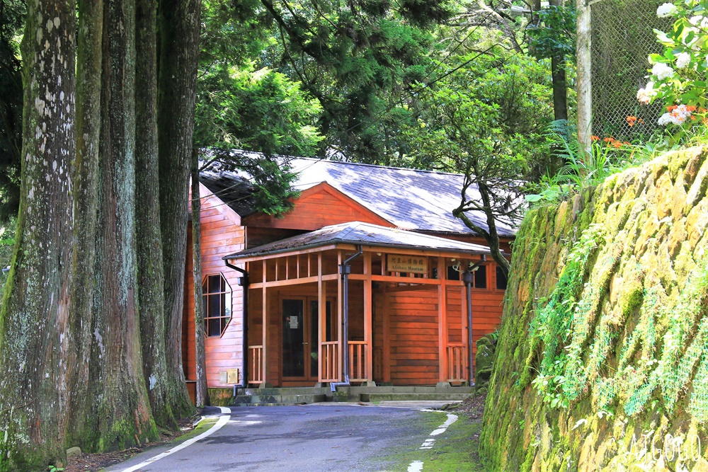 2026阿里山森林遊樂區 兩天一夜走緩慢走山林 吸飽芬多精 阿里山一日遊也可以
