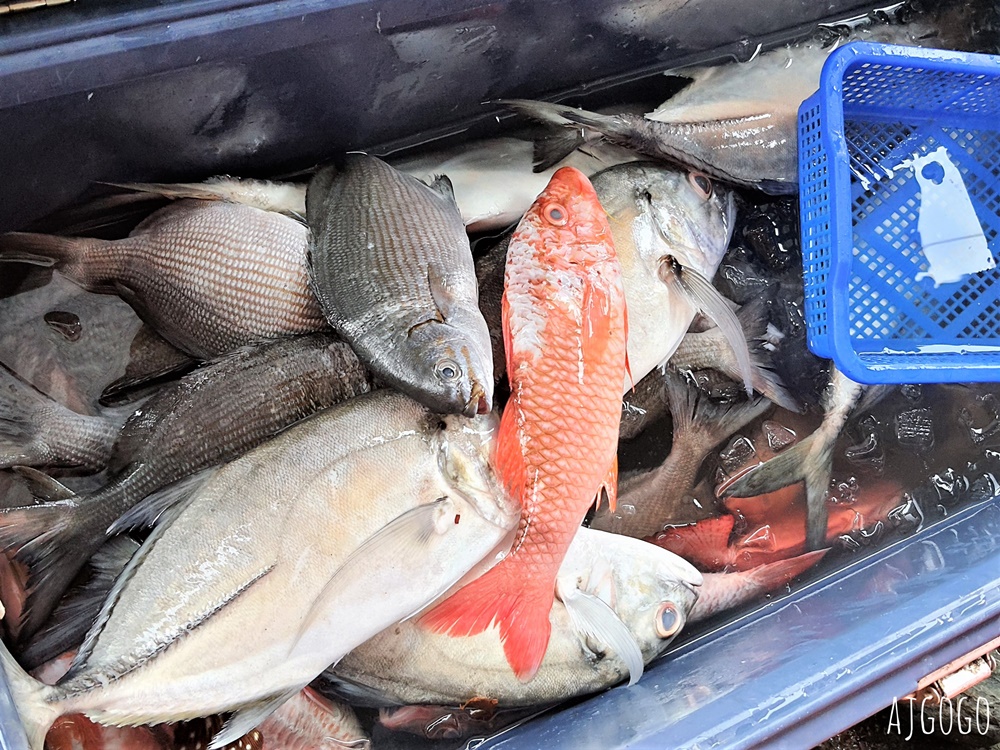 宜蘭美食 粉鳥林的一把小雨傘 東澳灣秘密燒烤海鮮餐廳 想吃要先訂位