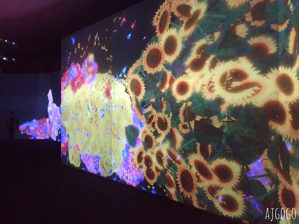 台北teamLab：未來遊樂園&與花共生的動物們 讓我們一起沉浸在光影裡