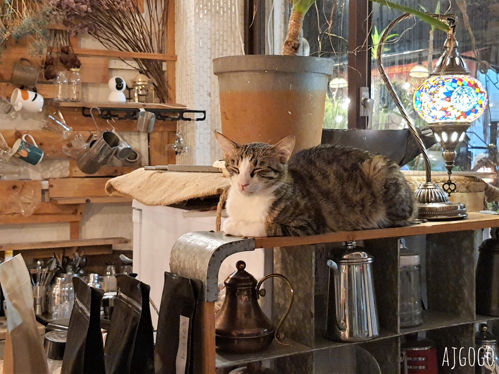 嘉義美食 IN COFFEE、失眠甜點所 嘉義深夜聊天好去處