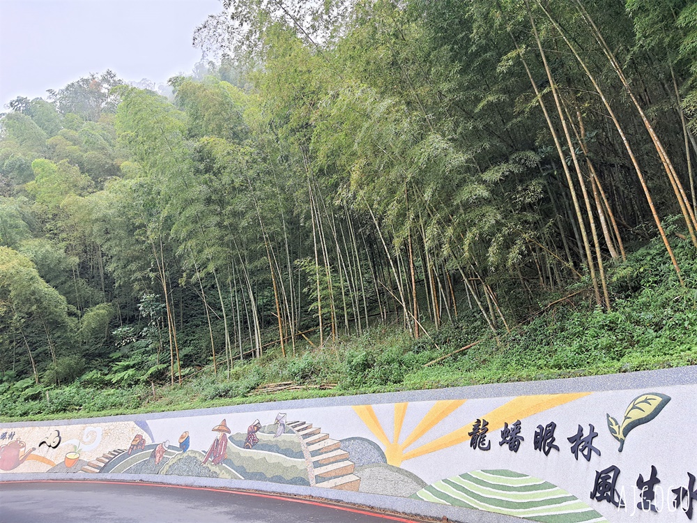 嘉義梅山景點 二尖山步道 茶園步道 雲海、雲瀑一次滿足 嘉義景點推薦