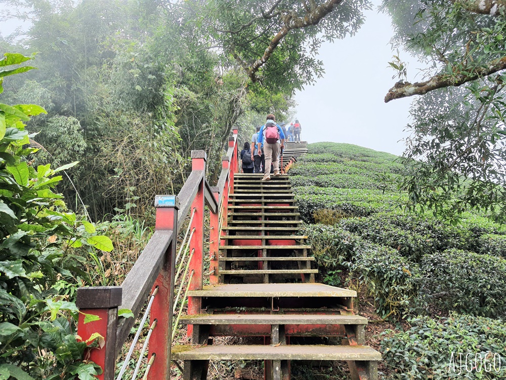 嘉義梅山景點 二尖山步道 茶園步道 雲海、雲瀑一次滿足 嘉義景點推薦