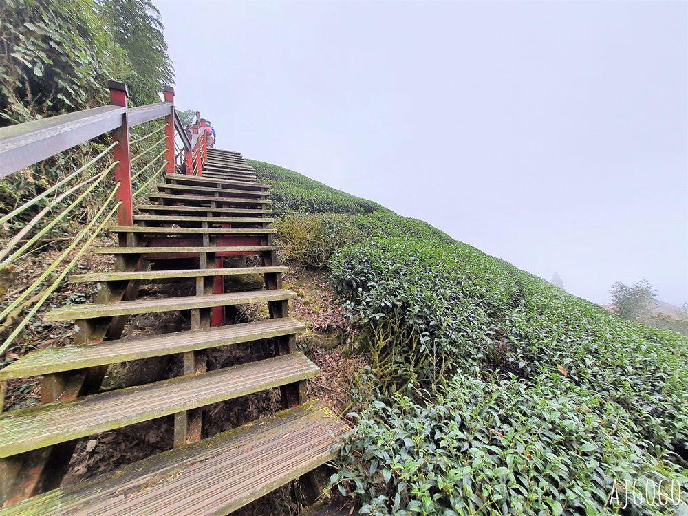 嘉義梅山景點 二尖山步道 茶園步道 雲海、雲瀑一次滿足 嘉義景點推薦