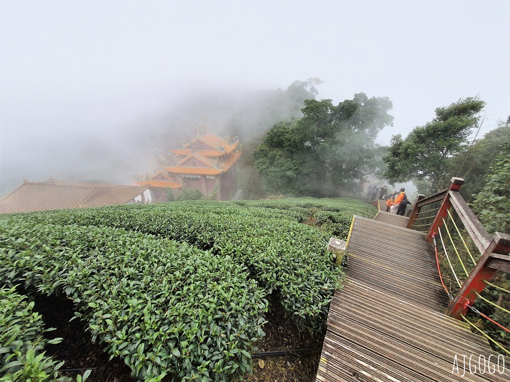 嘉義梅山景點 二尖山步道 茶園步道 雲海、雲瀑一次滿足 嘉義景點推薦