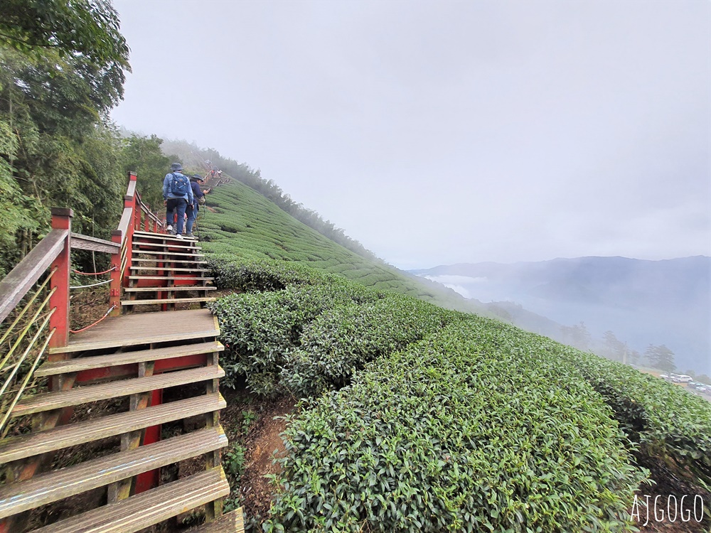嘉義梅山景點 二尖山步道 茶園步道 雲海、雲瀑一次滿足 嘉義景點推薦