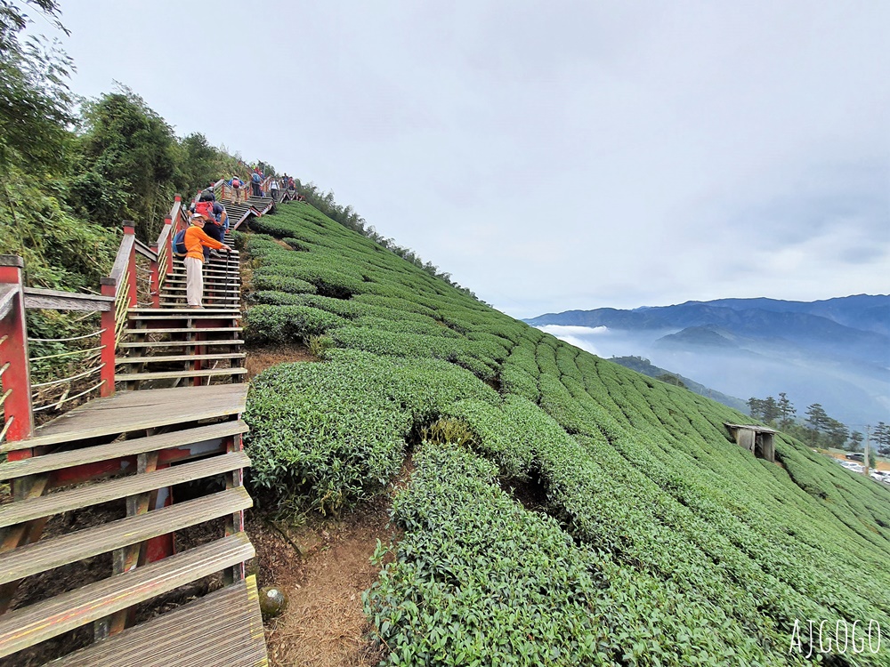嘉義梅山景點 二尖山步道 茶園步道 雲海、雲瀑一次滿足 嘉義景點推薦