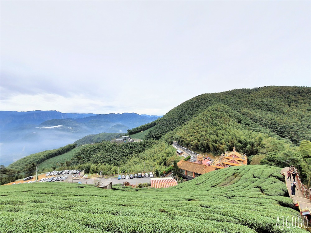 嘉義梅山景點 二尖山步道 茶園步道 雲海、雲瀑一次滿足 嘉義景點推薦