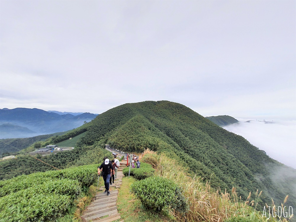嘉義梅山景點 二尖山步道 茶園步道 雲海、雲瀑一次滿足 嘉義景點推薦