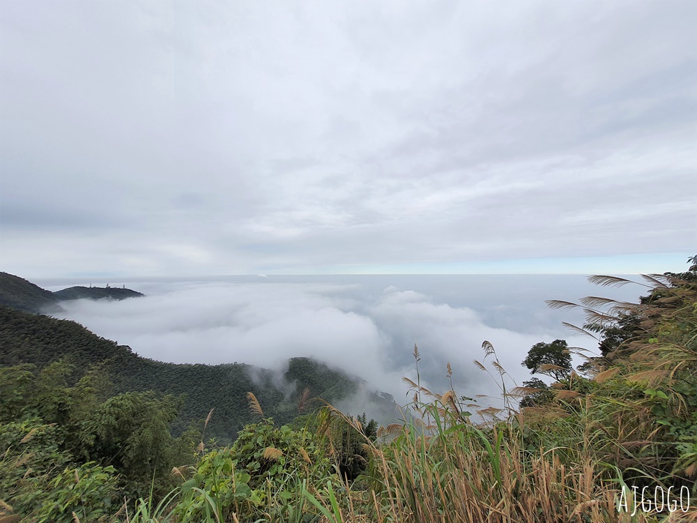 嘉義梅山景點 二尖山步道 茶園步道 雲海、雲瀑一次滿足 嘉義景點推薦