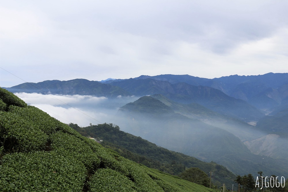 嘉義梅山景點 二尖山步道 茶園步道 雲海、雲瀑一次滿足 嘉義景點推薦