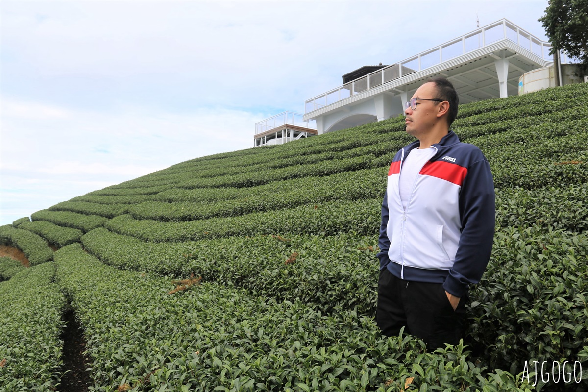 嘉義景點 1314觀景台 嘉義梅山最美茶園步道 御茶園廣告拍攝點