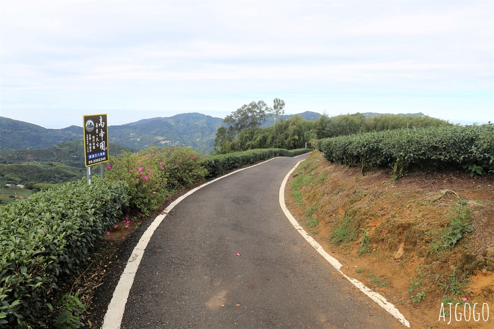 嘉義景點 1314觀景台 嘉義梅山最美茶園步道 御茶園廣告拍攝點