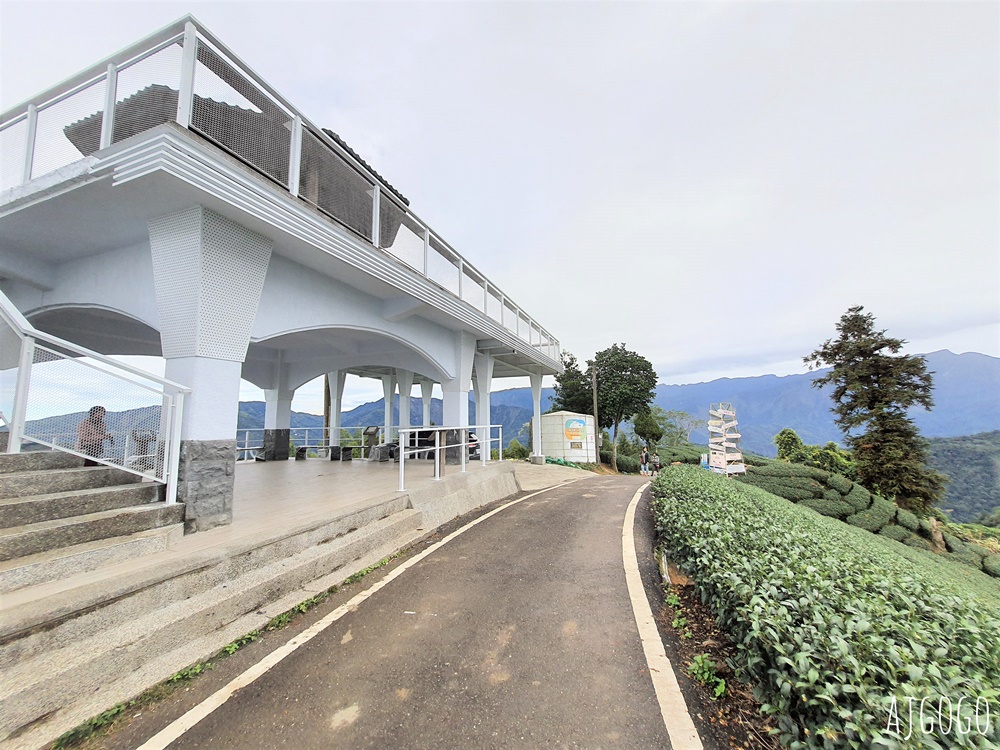 嘉義景點 1314觀景台 嘉義梅山最美茶園步道 御茶園廣告拍攝點