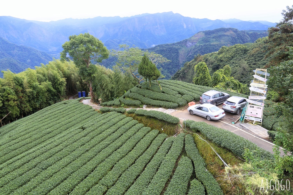 嘉義景點 1314觀景台 嘉義梅山最美茶園步道 御茶園廣告拍攝點