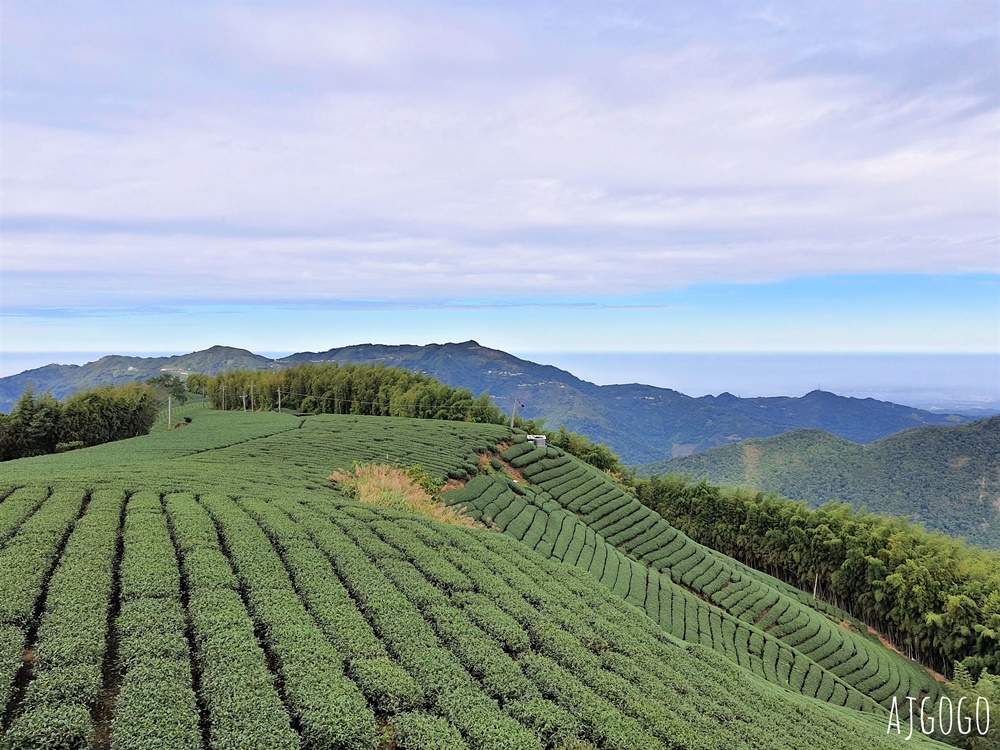 嘉義景點 1314觀景台 嘉義梅山最美茶園步道 御茶園廣告拍攝點