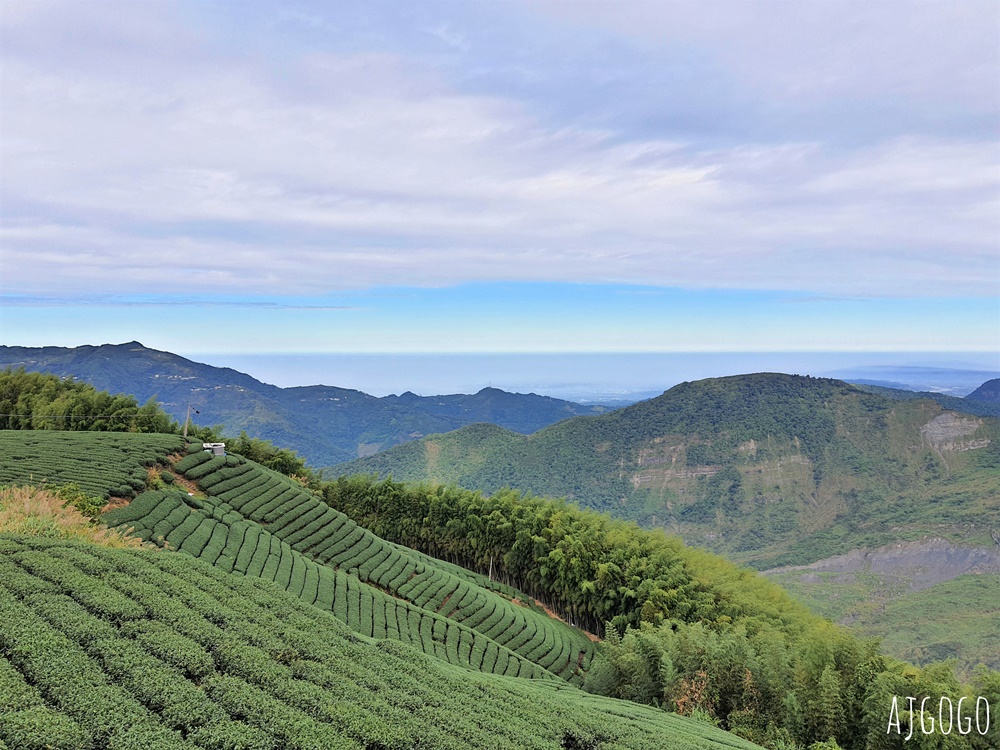 嘉義景點 1314觀景台 嘉義梅山最美茶園步道 御茶園廣告拍攝點