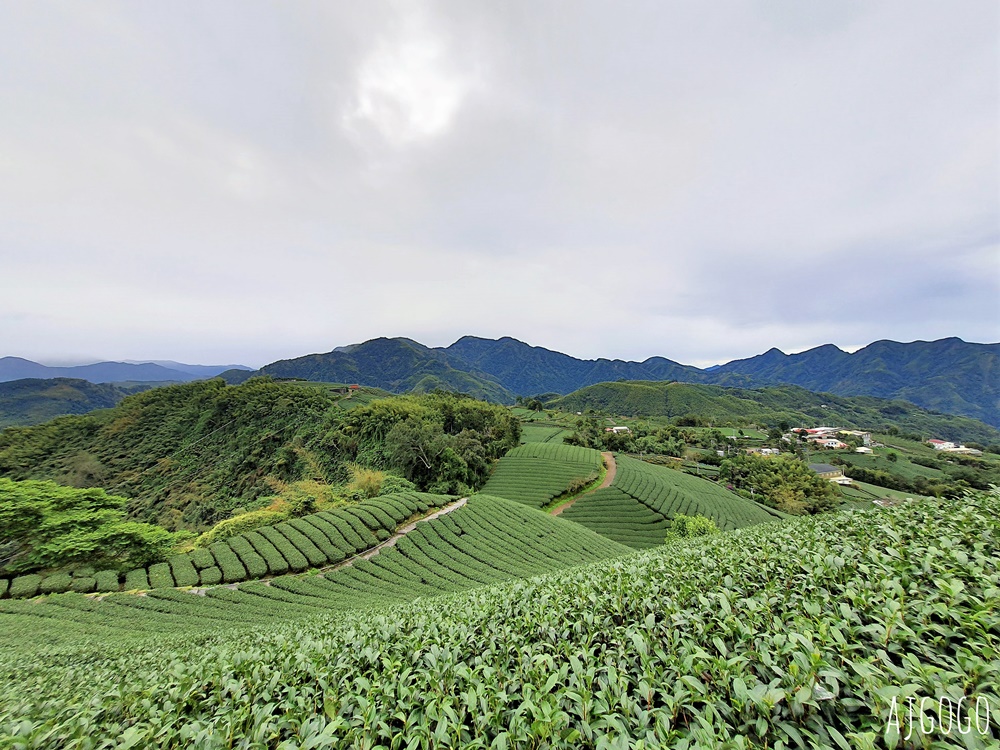 嘉義景點 1314觀景台 嘉義梅山最美茶園步道 御茶園廣告拍攝點