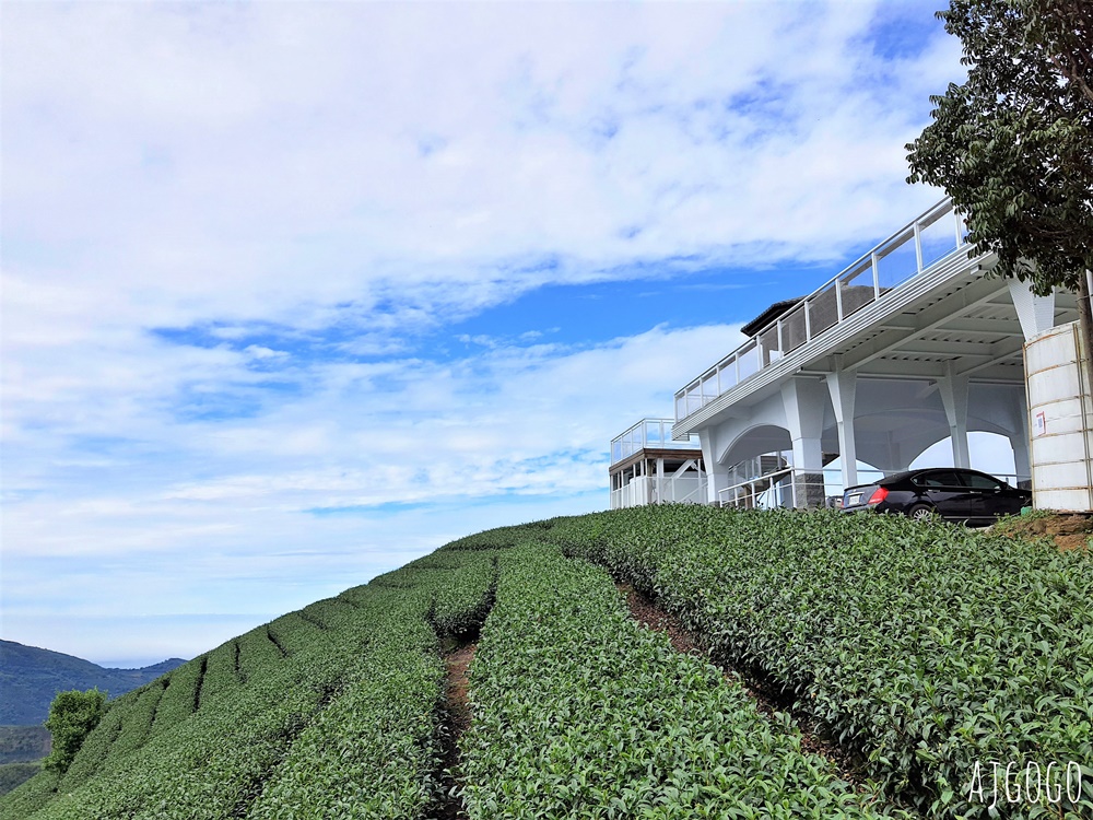 嘉義景點 1314觀景台 嘉義梅山最美茶園步道 御茶園廣告拍攝點