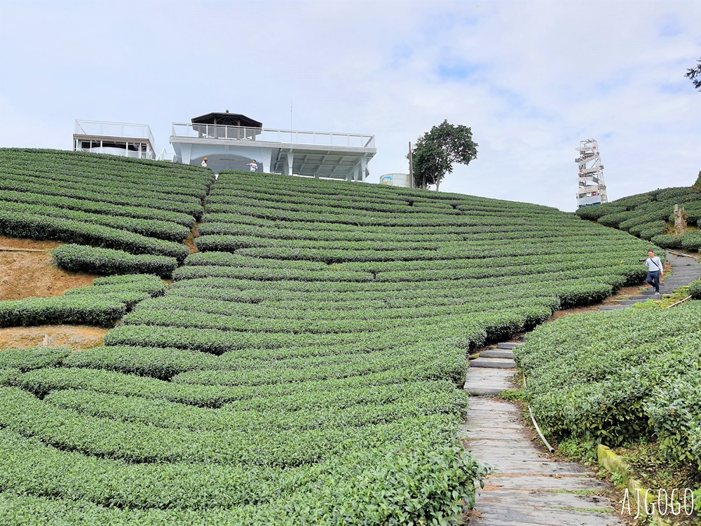 嘉義景點 1314觀景台 嘉義梅山最美茶園步道 御茶園廣告拍攝點