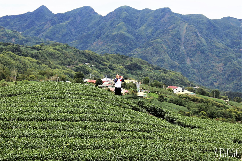 嘉義景點 1314觀景台 嘉義梅山最美茶園步道 御茶園廣告拍攝點