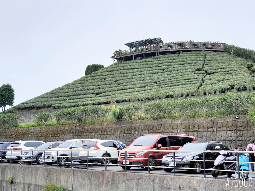 嘉義景點 碧湖山觀光茶園 嘉義梅山免費觀景台、伴手禮、餐廳一次滿足