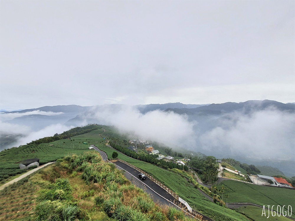 嘉義景點 碧湖山觀光茶園 嘉義梅山免費觀景台、伴手禮、餐廳一次滿足