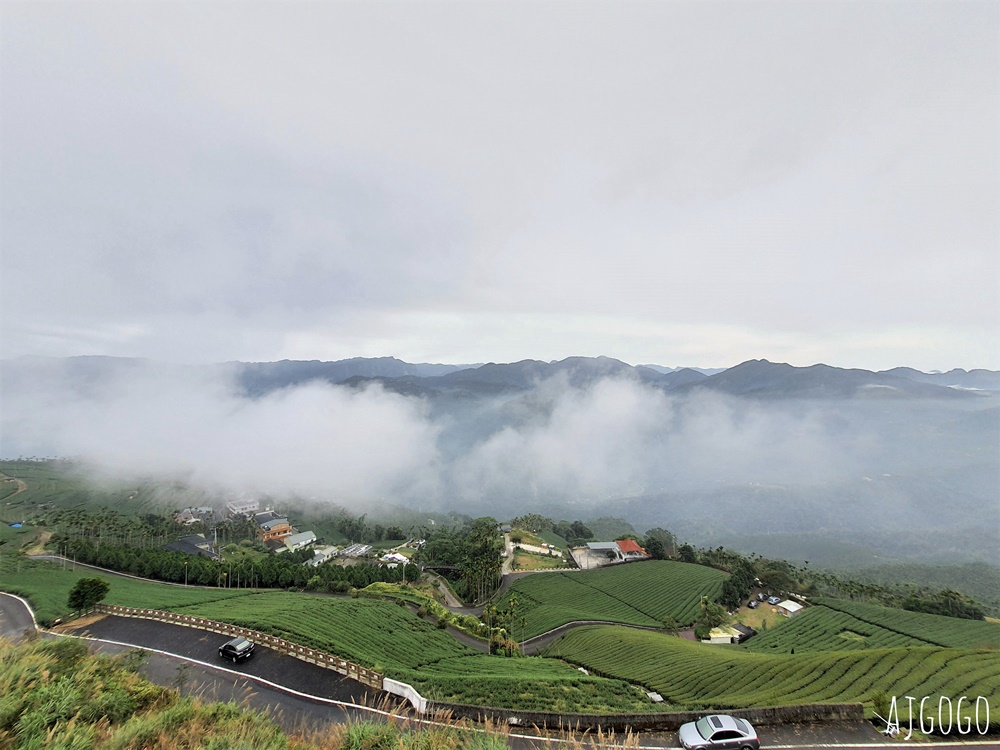 嘉義景點 碧湖山觀光茶園 嘉義梅山免費觀景台、伴手禮、餐廳一次滿足