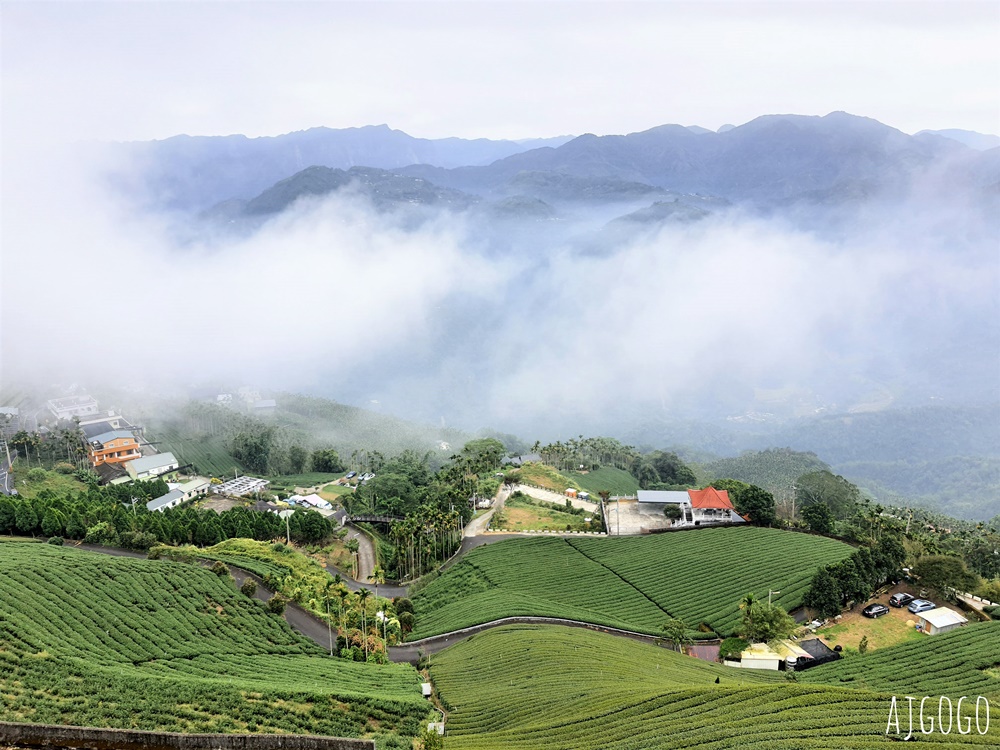 嘉義景點 碧湖山觀光茶園 嘉義梅山免費觀景台、伴手禮、餐廳一次滿足