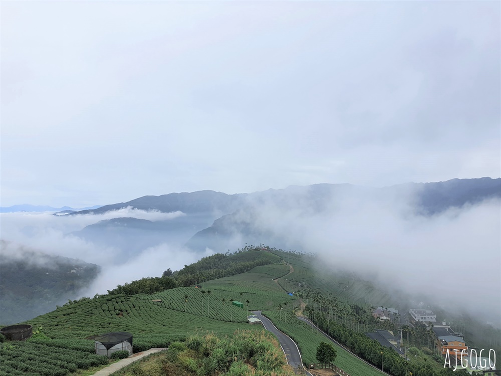 嘉義景點 碧湖山觀光茶園 嘉義梅山免費觀景台、伴手禮、餐廳一次滿足
