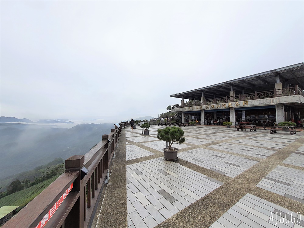 嘉義景點 碧湖山觀光茶園 嘉義梅山免費觀景台、伴手禮、餐廳一次滿足