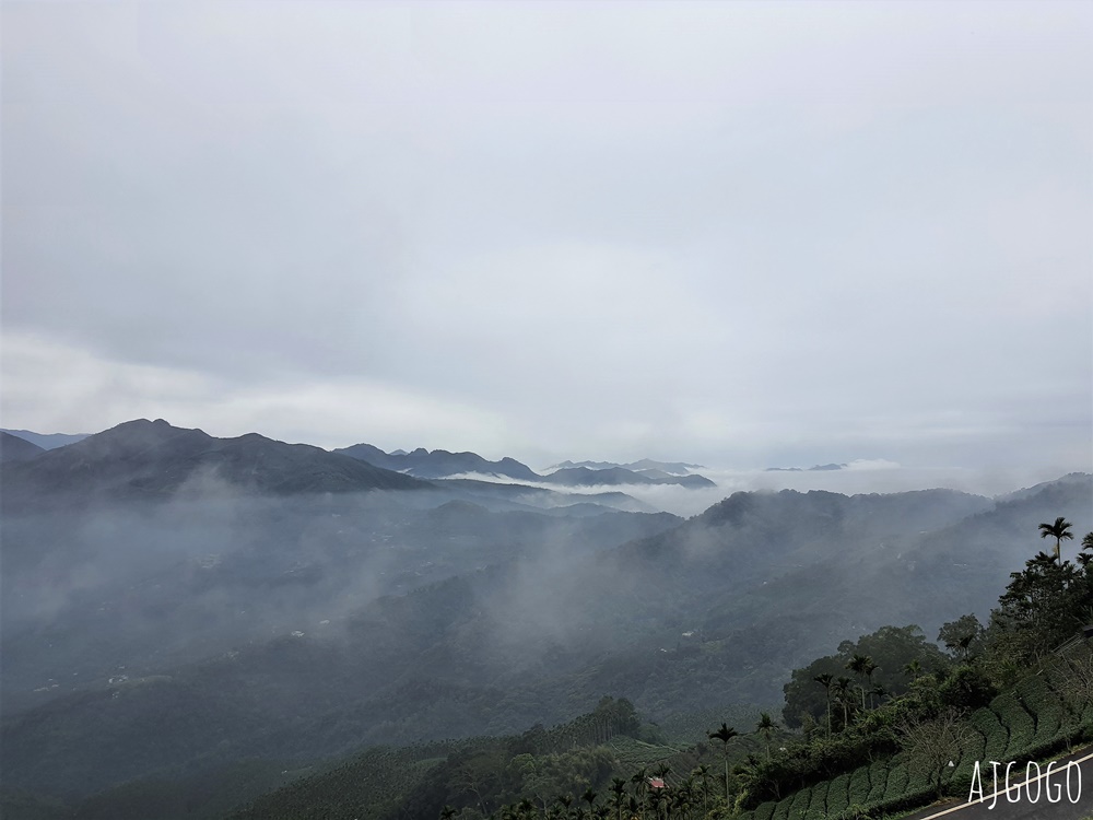嘉義景點 碧湖山觀光茶園 嘉義梅山免費觀景台、伴手禮、餐廳一次滿足