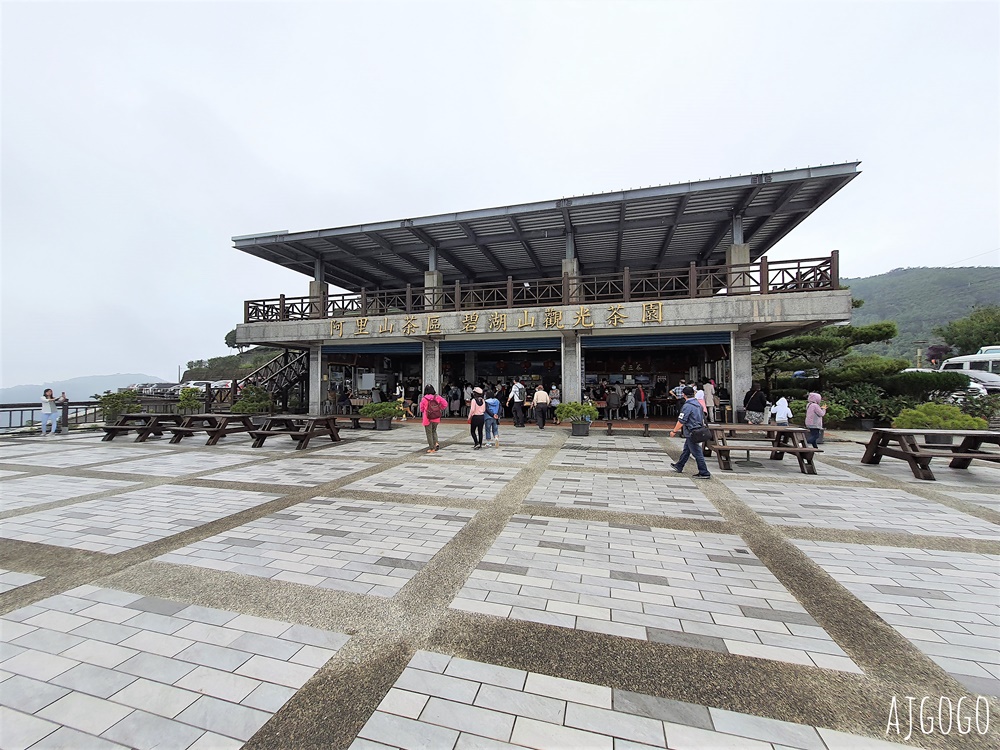 嘉義景點 碧湖山觀光茶園 嘉義梅山免費觀景台、伴手禮、餐廳一次滿足