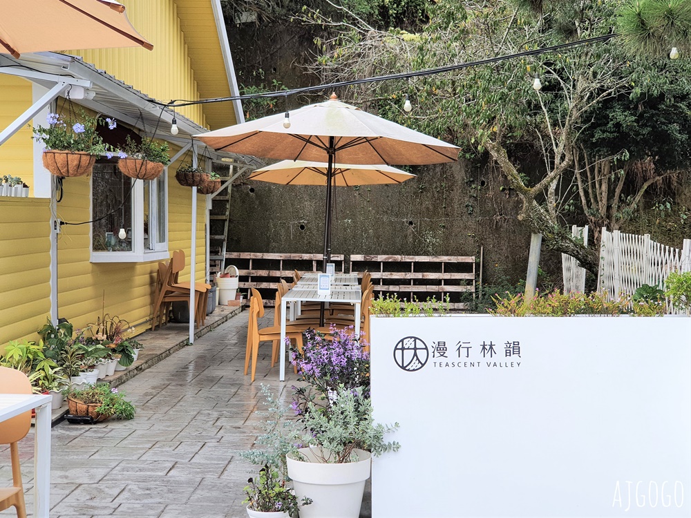 嘉義美食 漫行林韻茶禮工作室 嘉義梅山景觀餐廳 林韻茶園