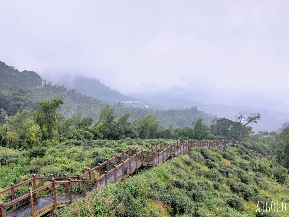 嘉義景點 太興岩步道 嘉義梅山懶人級茶園步道 全長僅600公尺 停車場